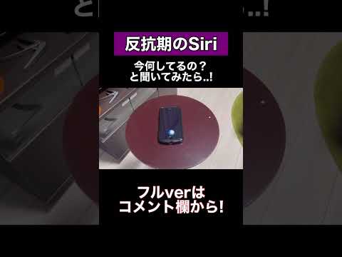 Siriに今何してるの？と聞いてみた結果泣 #shorts #siri