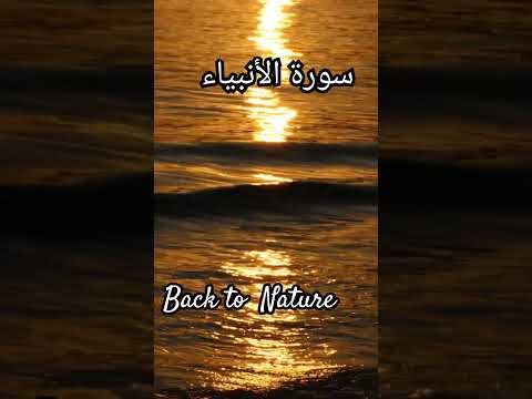 Heart touching voice#backtonature #quranrecitation #nature #ytshort