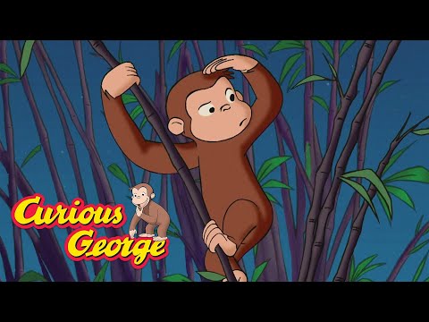 George Gets Lost in the Zoo 🐵 Curious George 🐵 Kids Cartoon 🐵 Kids Movies