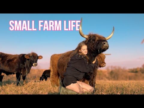 The Life of a Homeschooled, Farming Teenager