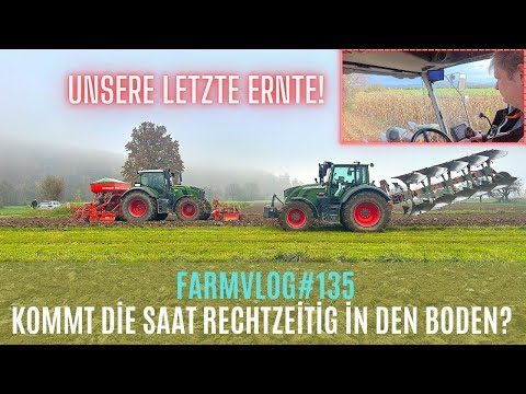 FarmVlog#135 Unsere LETZTE Ernte... Säen vor dem Regen🌾