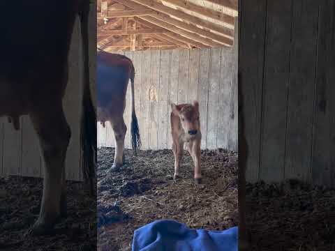 Sunny's first zoomies! ☀️🌷😆