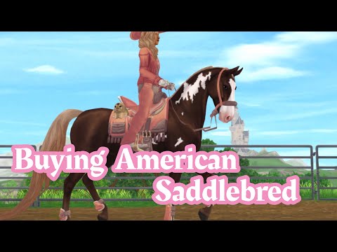 AMERICAN SADDLEBRED - Star Stable Online