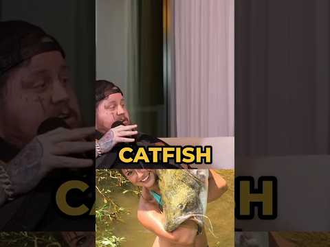 NELK BOYS GET CATFISHED!