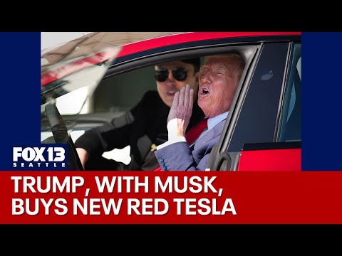 President Donald Trump buys new Tesla alongside Elon Musk