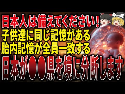 【必ず見てください】子供達が見た胎内記憶が日本の未来を警告！大津波、大洪水によって日本は分断される！？【ゆっくり解説】