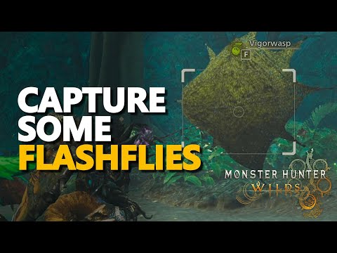 Capture Some Flashflies Monster Hunter Wilds