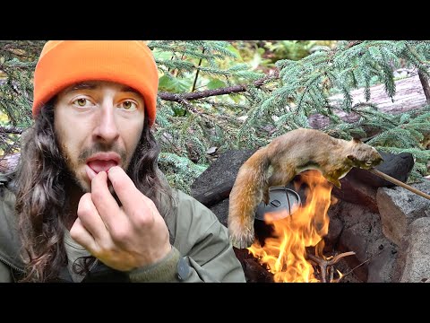 Slingshot Survival | Cooking Squirrel