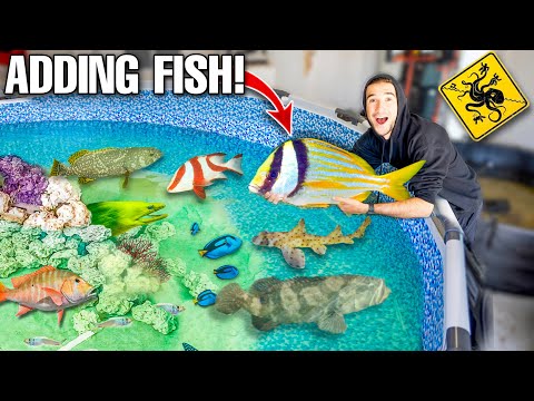 Catching EXOTIC FISH to Add to My SALTWATER POND! (New Pond Coming!)