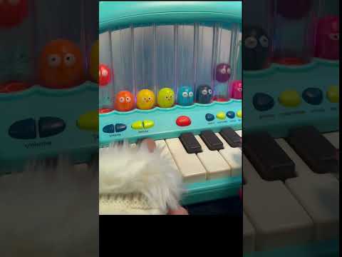 Super fun HIPPO pop piano