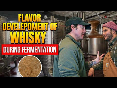 Importance Of Fermentation In The Whisky Making Process