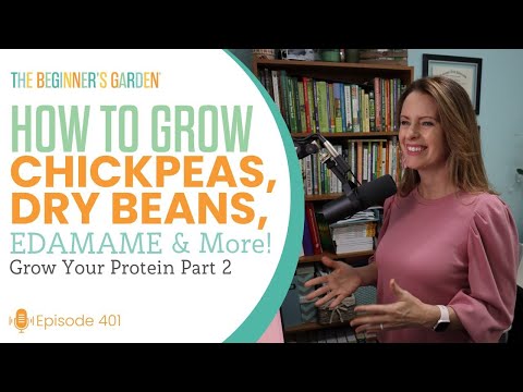 How to Grow Chickpeas, Dry Beans, Edamame, and More (Grow Your Own Protein, Part 2)