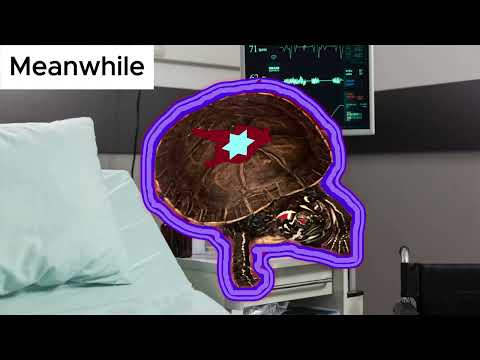 Every Turtle For Themselves: Episode 2