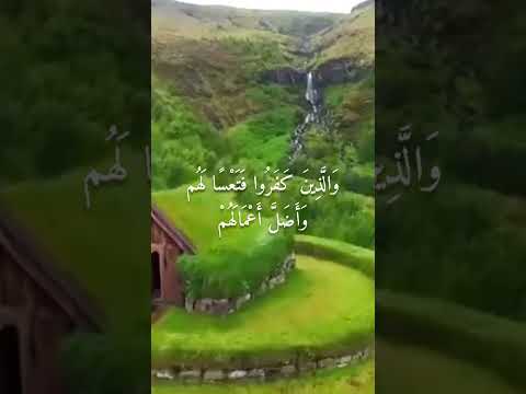 تلاوة مريحة | الشيخ ياسر سرحان الديب |