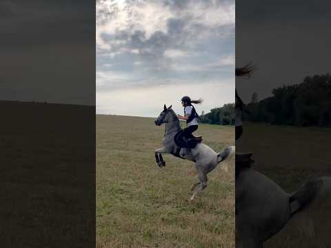 Riding fun🥳 #trending #france #fyp #horse #horseriding #viralshorts #foryou #pony #foryoupage