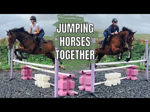 JUMPING OUR HORSES! | Highest Jump Yet!