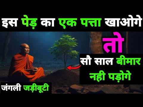 सिर्फ एक पत्ता और आपकी सेहत चमत्कारिक रूप से बदल जाएगी | #motivation #buddha #love