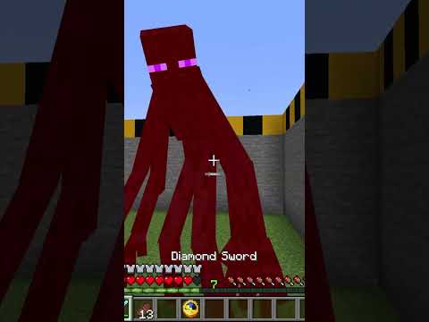 I Fought Every Enderman in Minecraft!