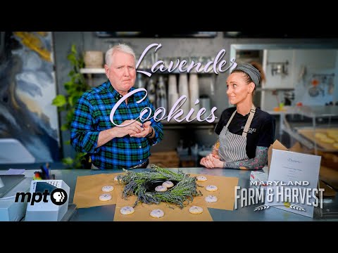 Making Lavender Cookies & Wreaths with Al Spoler | MDF&H