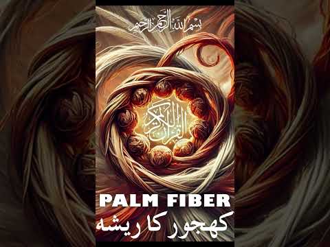 Quran | Translation | Urdu | Chapter 111 | Palm Fiber | Surah Al-Masad