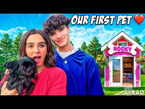 BUILDING DREAM DOG HOUSE! 🐶