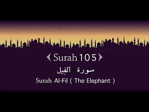 Quran 105. Surah Al-Fil ( ٱلفِيل ) (The Elephant) || #surah #surahalfil #spritual #relaxing #quran