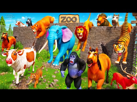 The Great Escape: Zoo Animals Breakout | Epic Animal Escape Adventures 2024