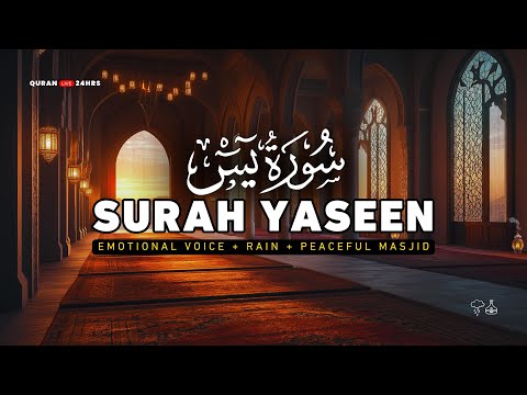 Ramadan Recitation | Surah Yaseen on repeat سورة يس | Quran Live 24Hrs