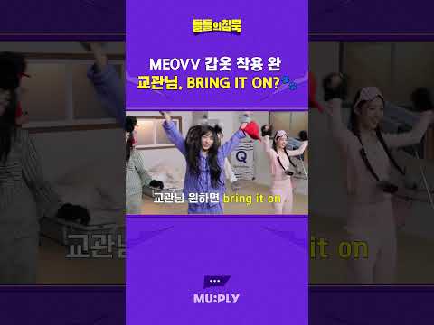 고양이 귀 달고 360도 바뀐 미야오 [돌들의침묵 MEOVV 편]