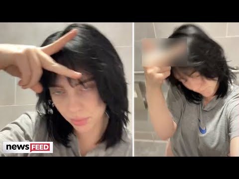 Billie Eilish FIRES BACK At Troll While On The Toilet!