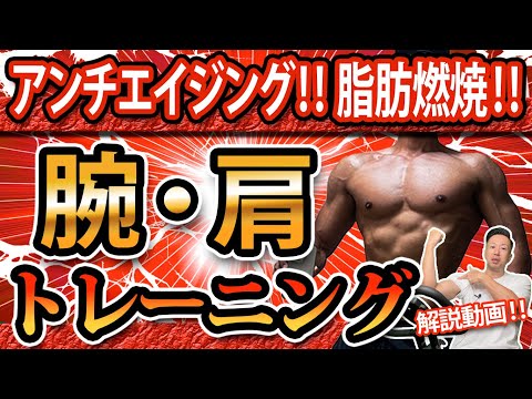 【アンチエイジング‼脂肪燃焼‼】細胞から若返る‼腕・肩トレーニング‼