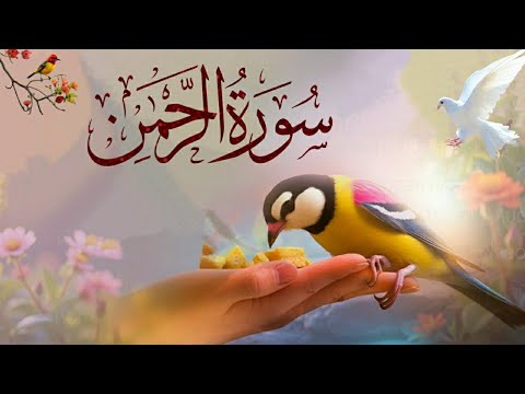 World's most beautiful recitation of Surah Ar-Rahman Episode 770 | Bazm e Quran