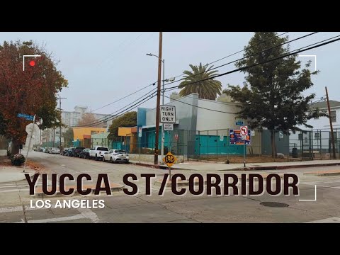 Yucca Corridor & Street | Walking The Once Notorious Hollywood Area | 2025