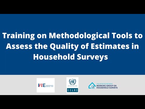 Training on Methodological Tools to Assess the Quality of Estimates in Household Surveys