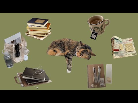 ༄˖°. pov: you're a library cat .ೃ࿔📚*:･ (cozy jazz piano playlist)