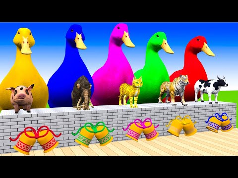 5 Giant Duck Cartoon,Cow,Elephant,Tiger,Lion,Dinosaur,Paint Wild Animals Crossing Fountain Animation