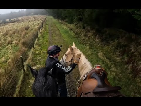 He's only 3 years old! look at this horse's 2nd ride out!!