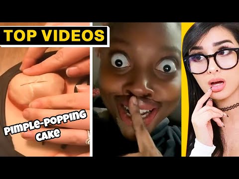 TikToks That I Watch at 3am | SSSniperWolf