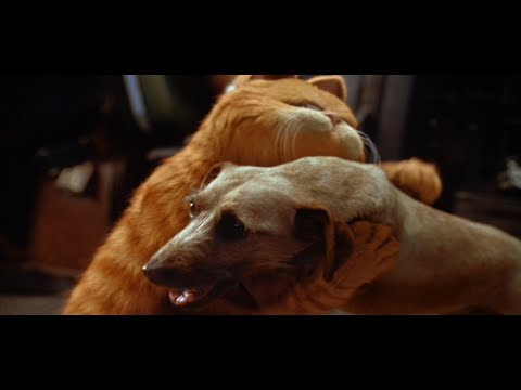 Garfield (2004) - Garfield rescues Odie