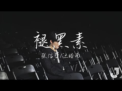 张信哲 & 江皓南 - 褪黑素  |「过去过不去 在黑夜里 我好想好想你」|【动态歌词 Lyrics】