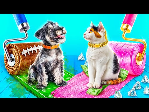 We Build a Secret Rooms for Pets! Poor Dog vs Rich Cat!