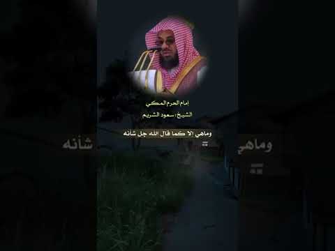 مقطع يبكي القلب ومؤثر للشيخ سعود الشريم.يتحدث عن حقيقة الدنيا نصيحة اسمعوه 💔🥺 #shorts