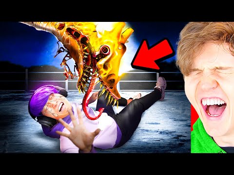 LANKYBOX REACTS To TOP 5 FUNNIEST ZOOCHOSIS MEMES!? (ZOOCHOSIS HAPPY MEAL!)