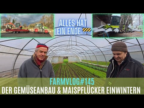 FarmVlog#145 Gemüseanbau auf hohem Niveau! Letzte Baustelle für dieses Jahr?!