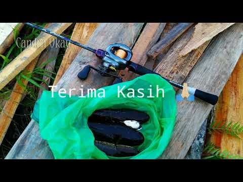 SHIMANO CURADO DC || TRIP SINGKAT, MANCING GABUS.