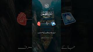 #islamicvideo #quran_urdu_translation #quranic_light