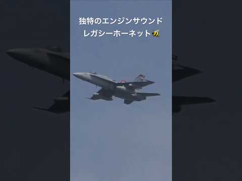 この音がもうすぐ聞けなくなる！独特のエンジンサウンドを発する F/A-18C レガシーホーネット #shorts #fighterjet #aviation #sound