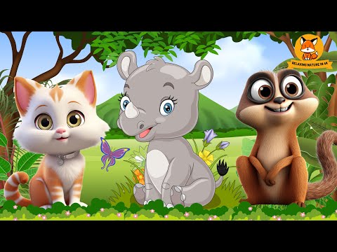 Farm Animal Symphony: Cat, Rhino, Sheep, Goat, Chicken, Meerkat - Animal Videos