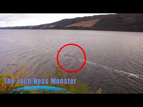 Loch Ness Monster: Myth or Reality? Unveiling the Mystery! @lahirusankalpa