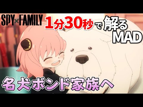 【SPY×FAMILY_2期】SOUVENIRで名犬ボンドが家族になったシーンを観る【MAD】